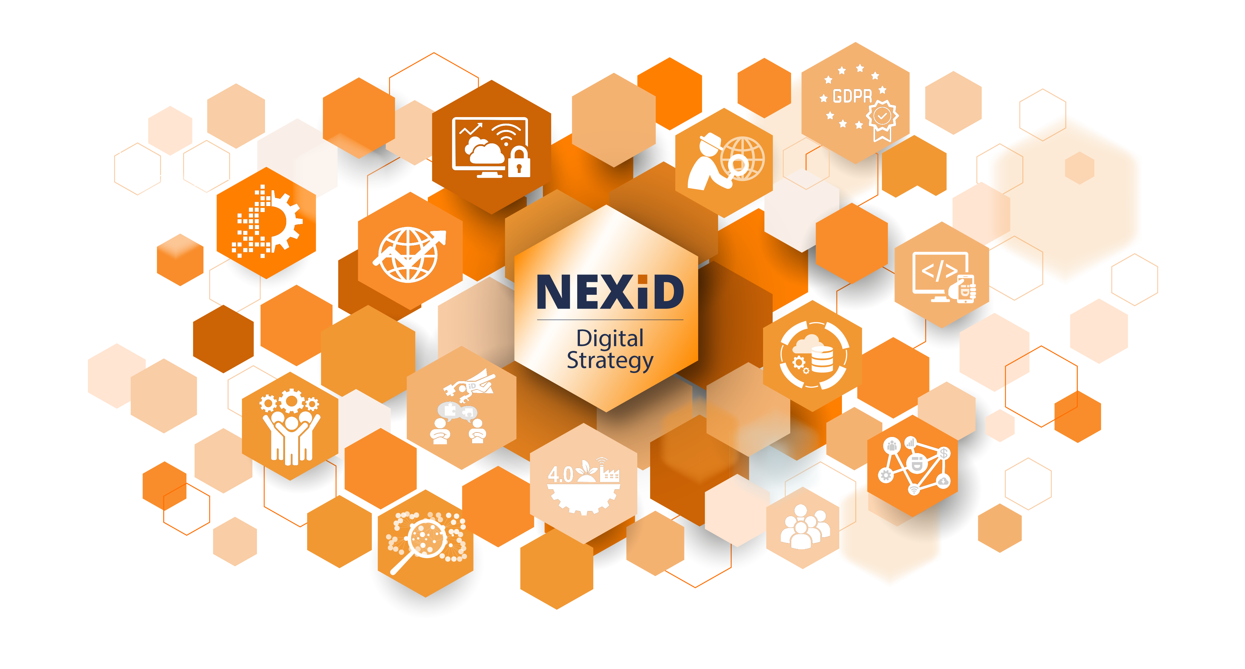 Nexid Digital Strategy Infografica