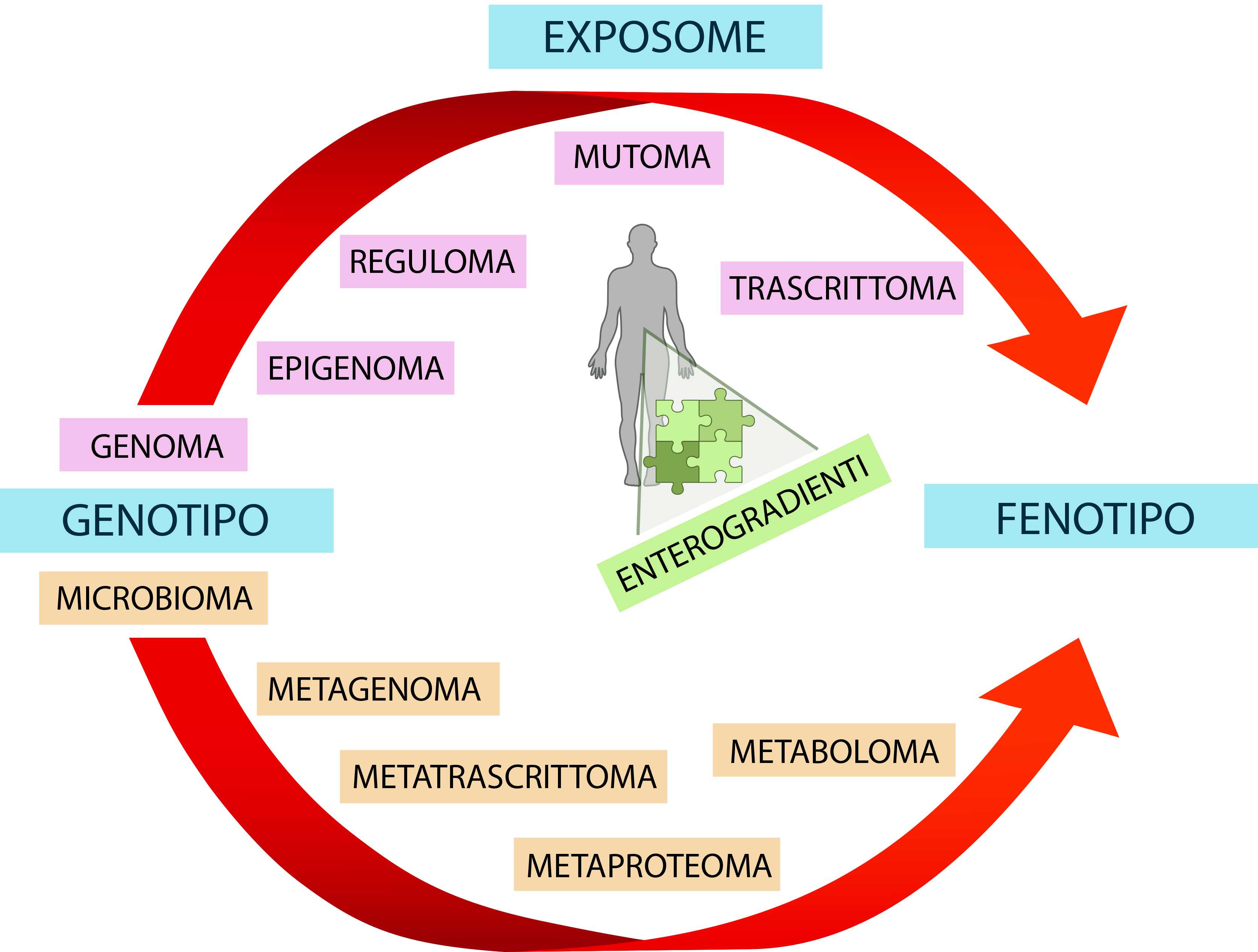 EXPOSOMENEXIDHEALTH EXPOSOMENEXIDHEALTH